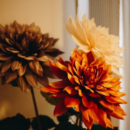 Apartamento Viana Home コルドバ エクステリア 写真